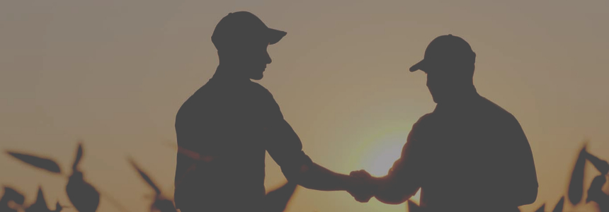 customer-loyalty-sunshine